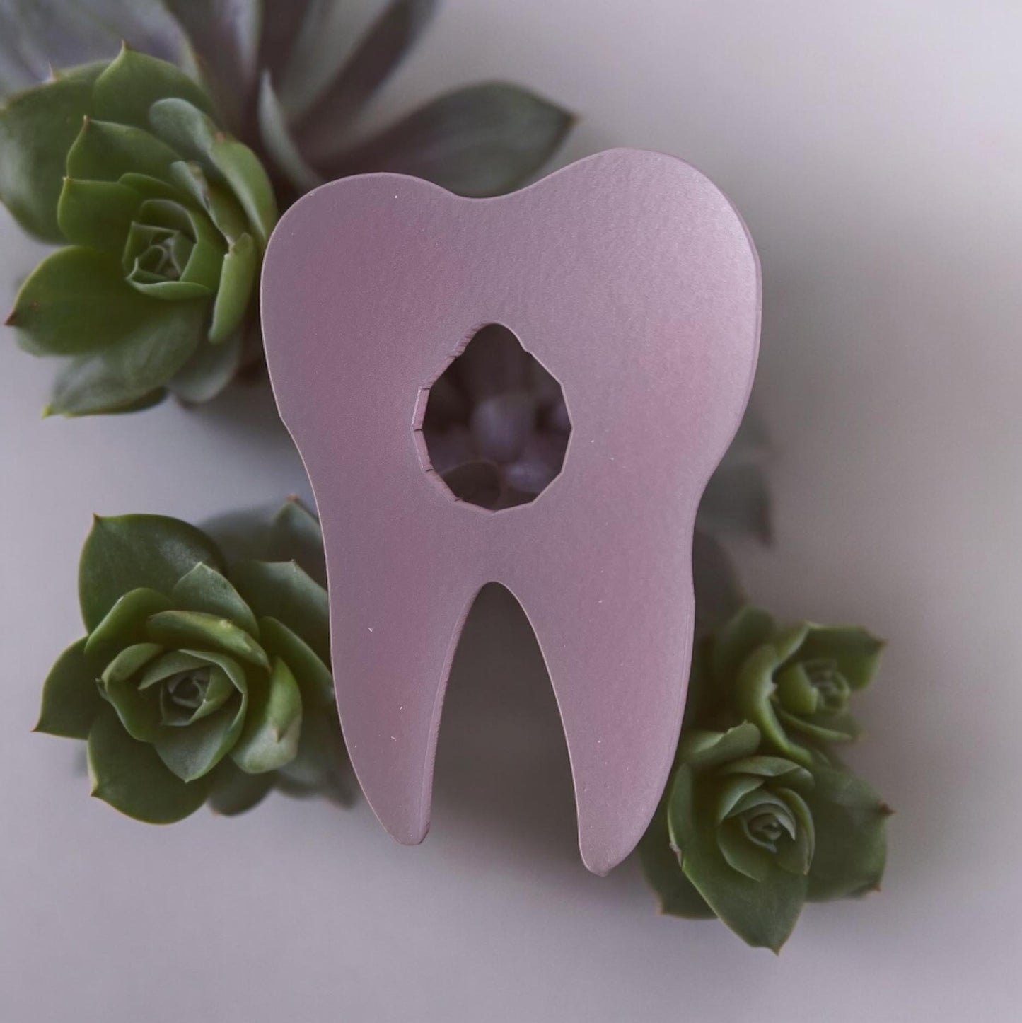 Tooth Fairy pound holder